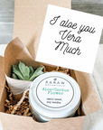 Valentine’s Day gift aloe and candle gift box