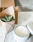 Valentine’s Day gift aloe and candle gift box