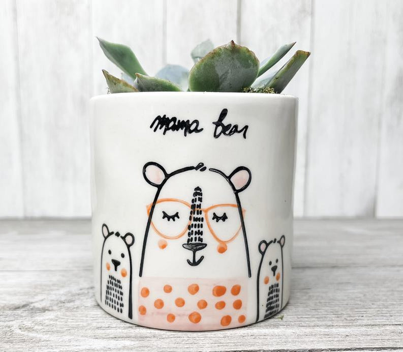 Mama Bear Succulent-Home &amp; Living