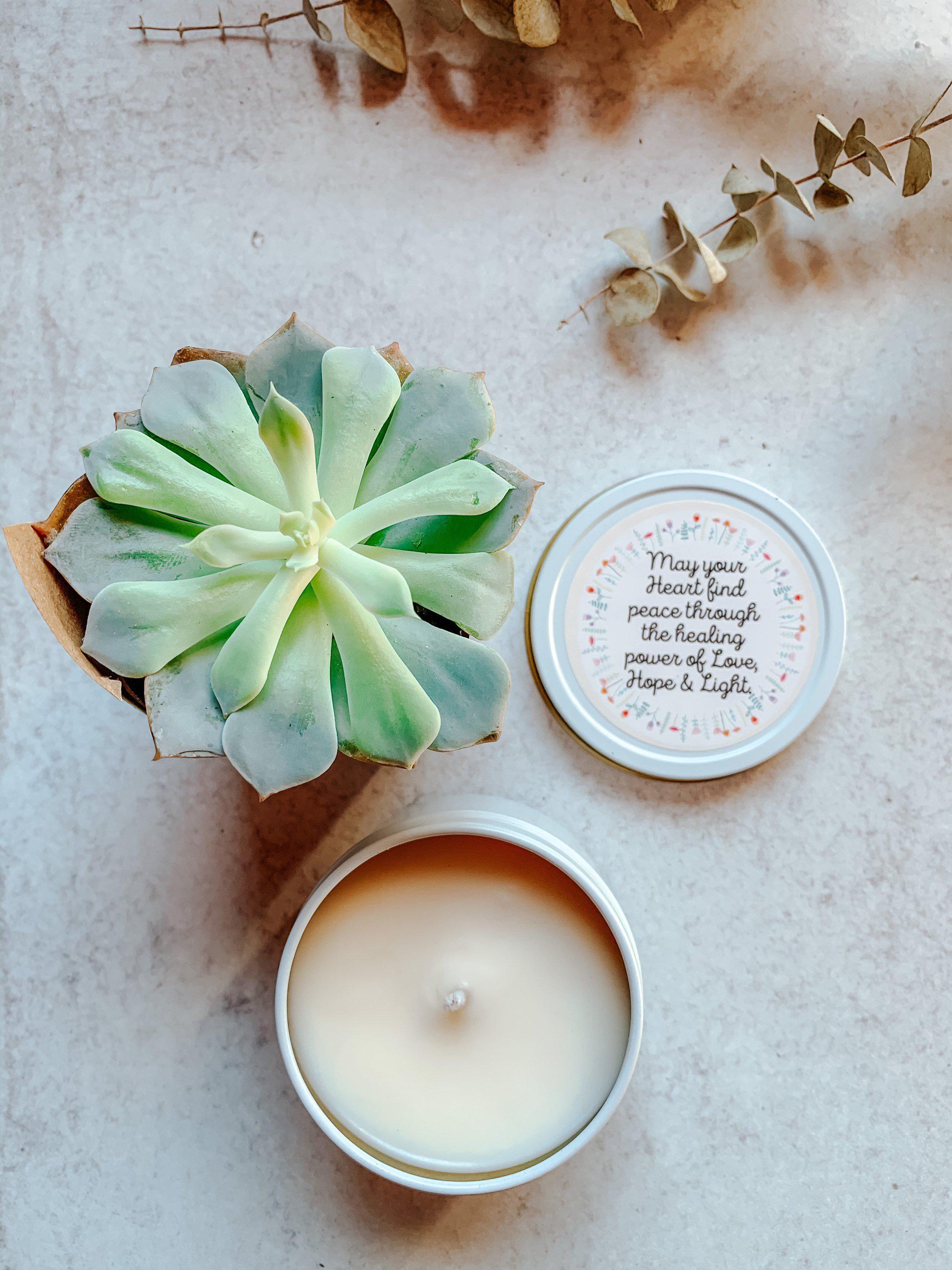 sympathy gift succulent and candle tin