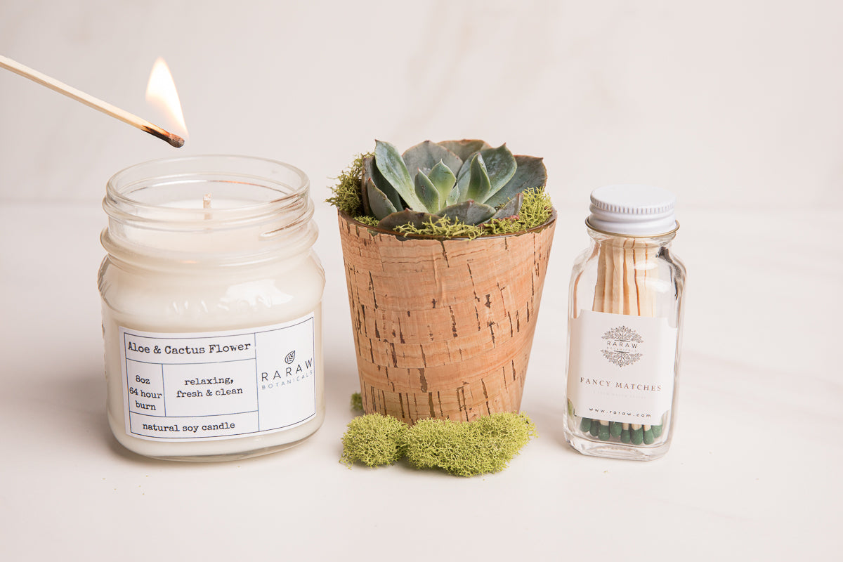The Botanical Gift Set Candle Matches and Succulent Plant